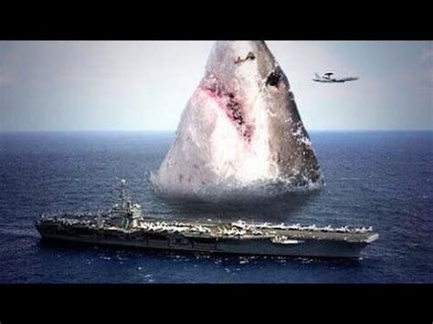 megalodon evidence 2016.